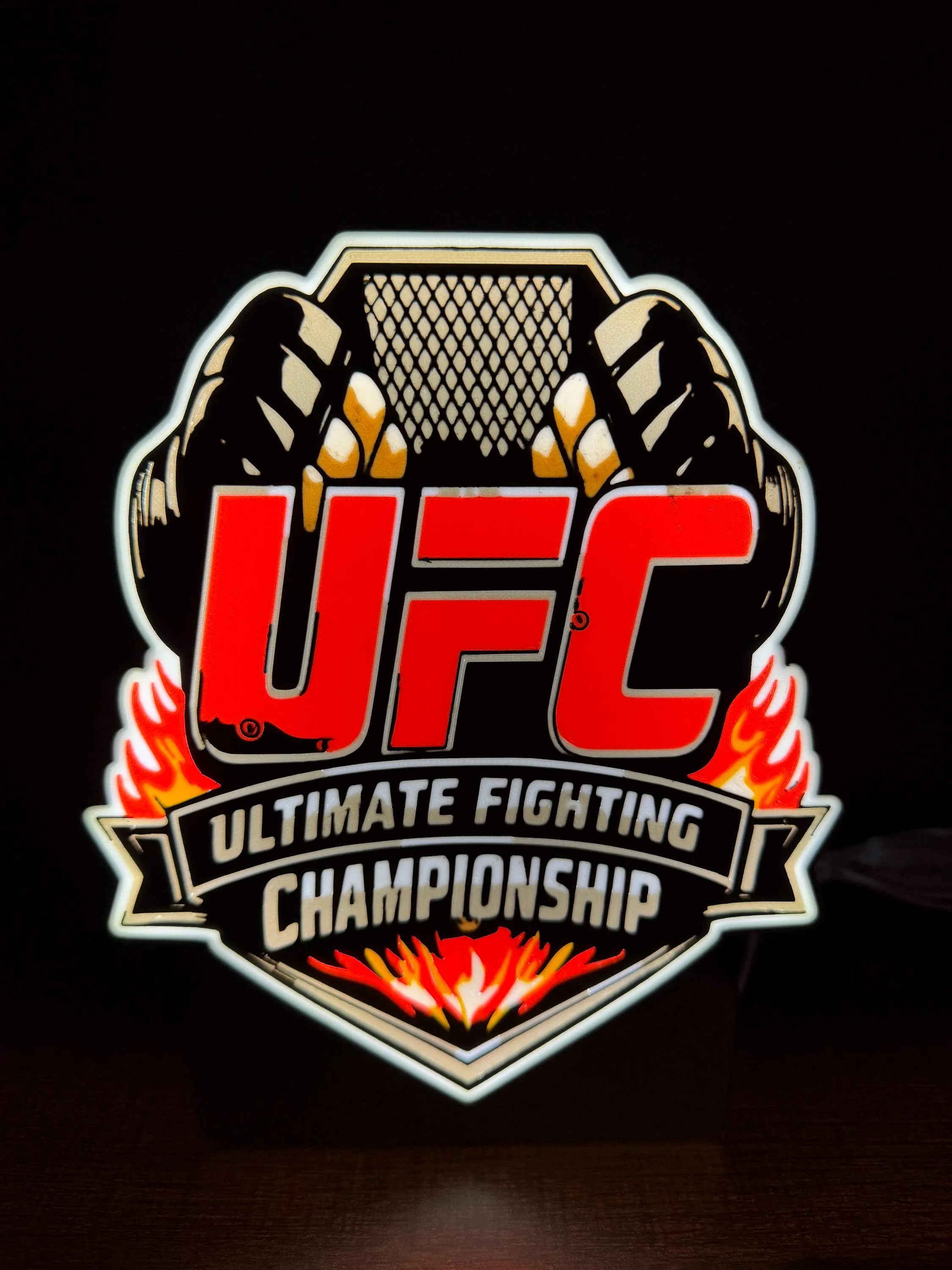 Illuminated MMA Fight‑Night Wall Art Light Box